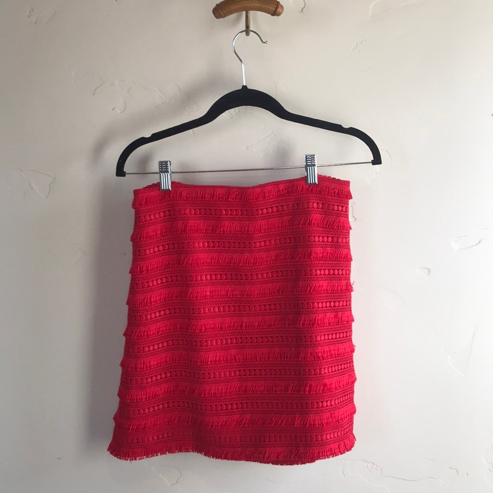 J. Crew Skirt
